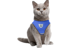 Reflective Cat Harness Vest with Matching Leash Reflective Cat Harness Vest with Matching Leash