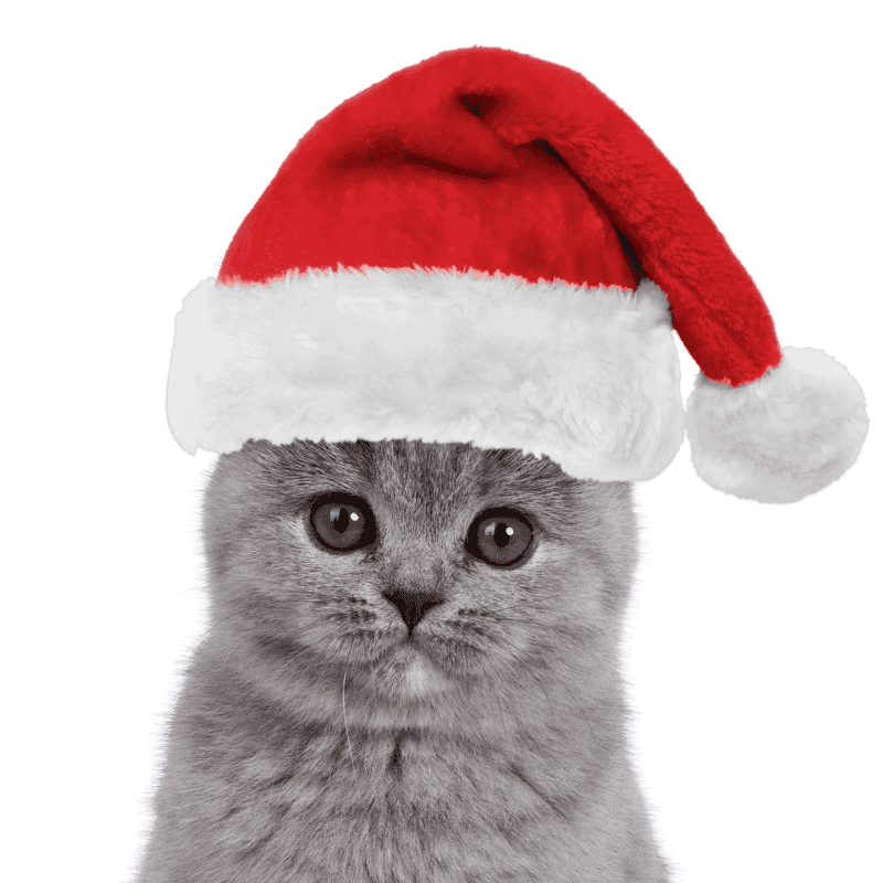 Christmas Santa Hat for Dogs and Cats Christmas Santa Hat for Dogs and Cats