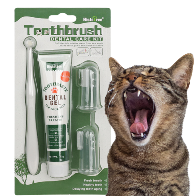 Complete Cat Oral Care Set: Toothbrush, 2 Finger Brushes & Vanilla Toothpaste Complete Cat Oral Care Set: Toothbrush, 2 Finger Brushes & Vanilla Toothpaste