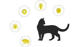 Natural Flea and Tick Collar For Cat