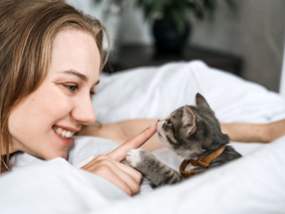 Bringing a New Cat Home: Creating a Cozy and Secure Space