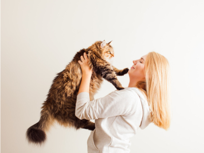 New Kitten Checklist: Essential Supplies and Care for Your Kitten Home